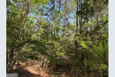 0 Clear Lake Drive, Adairsville, GA 30103 - Photo 37