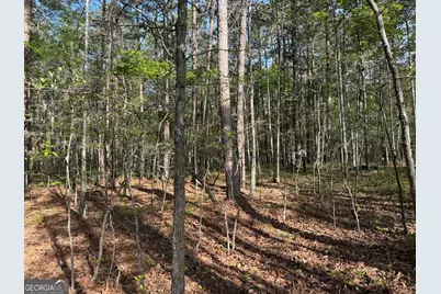 0 Clear Lake Drive, Adairsville, GA 30103 - Photo 33
