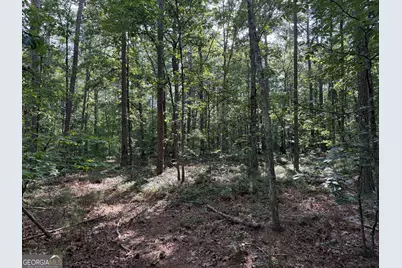 0 Clear Lake Drive, Adairsville, GA 30103 - Photo 19