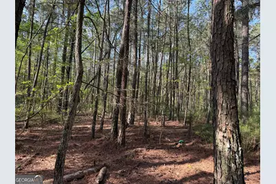 0 Clear Lake Drive, Adairsville, GA 30103 - Photo 35