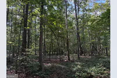 0 Clear Lake Drive, Adairsville, GA 30103 - Photo 5