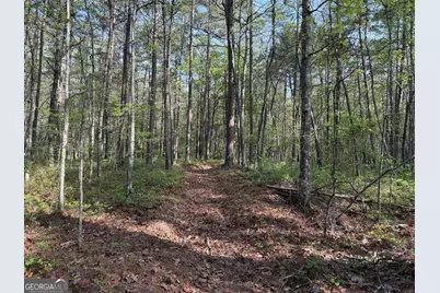 0 Clear Lake Drive, Adairsville, GA 30103 - Photo 31