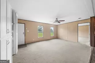 6641 Cecil Nobles Hwy, Ludowici, GA 31316 - Photo 5