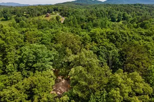 162 Little Falls Dr, Mineral Bluff, GA 30559 - Photo 45