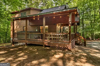 162 Little Falls Drive, Mineral Bluff, GA 30559 - Photo 5