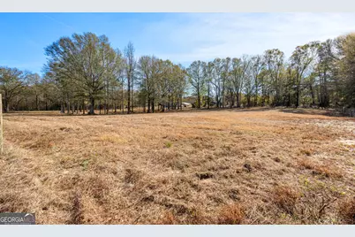 371 Milner, Meansville, GA 30256 - Photo 97