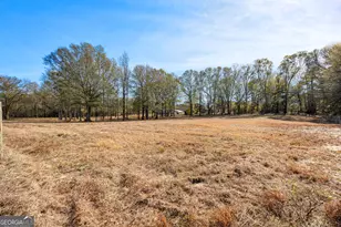 371 Milner, Meansville, GA 30256 - Photo 97