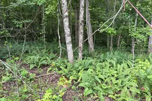 Lot 188 Northshore At Redwine Dr, Newnan, GA 30263 - Photo 35