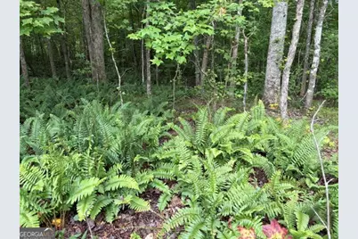 Lot 188 Northshore At Redwine Drive, Newnan, GA 30263 - Photo 31