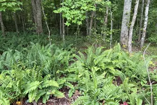 Lot 188 Northshore At Redwine Dr, Newnan, GA 30263 - Photo 31