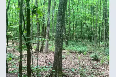 1589 Deer Field Farms Road, Monticello, GA 31064 - Photo 37