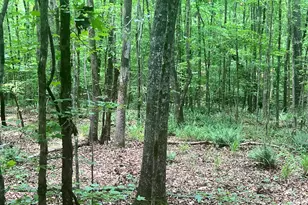 1589 Deerfield Farms Rd, Monticello, GA 31064 - Photo 37