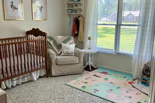 201 Mossberg Cir, Statesboro, GA 30461 - Photo 23