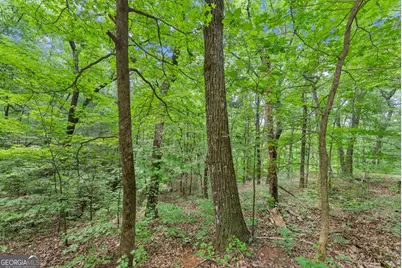 0 Wauka Ridge Road, Clermont, GA 30527 - Photo 7