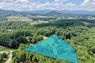 52 Farner Plott Dr, Blairsville, GA 30512 - Photo 49
