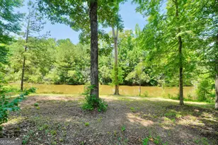 74 Water Oak Dr, Monticello, GA 31064 - Photo 17