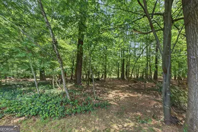 154 W Putnam Ferry Road, Woodstock, GA 30189 - Photo 39