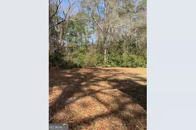 675 N Main Street, Baxley, GA 31513 - Photo 19