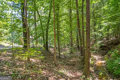 533 Mulberry Road, Winder, GA 30680 - Photo 21