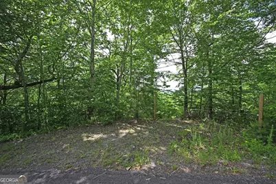 Lot 3 The Ridges, Hiawassee, GA 30546 - Photo 5