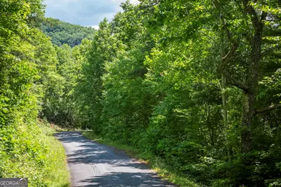 Lot 3 The Ridges, Hiawassee, GA 30546 - Photo 17