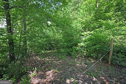 Lot 3 The Ridges, Hiawassee, GA 30546 - Photo 11