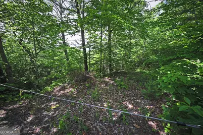 Lot 3 The Ridges, Hiawassee, GA 30546 - Photo 13