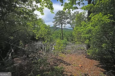Lot 3 The Ridges, Hiawassee, GA 30546 - Photo 21