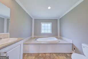 1177 Egg and Butter Rd N, Ochlocknee, GA 31773 - Photo 27