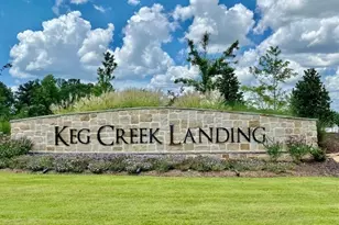 100 Loring Ln, Senoia, GA 30276 - Photo 9