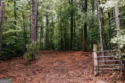 171 Glenwood Springs Terrace, Eatonton, GA 31024 - Photo 3