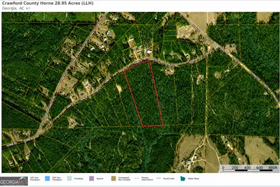 28.95 Acres Horne Road, Roberta, GA 31078 - Photo 7