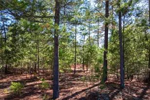 28 95 Acres Horne Rd, Roberta, GA 31078 - Photo 1