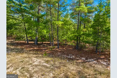 28.95 Acres Horne Road, Roberta, GA 31078 - Photo 3