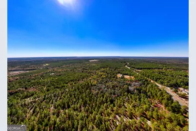 28.95 Acres Horne Road, Roberta, GA 31078 - Photo 11