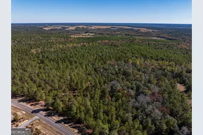 28.95 Acres Horne Road, Roberta, GA 31078 - Photo 9