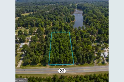 2.5 Acres Highway 22, Haddock, GA 31033 - Photo 7