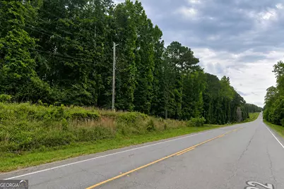2.5 Acres Highway 22, Haddock, GA 31033 - Photo 3