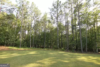 465 Buddy West Road, Newnan, GA 30263 - Photo 7