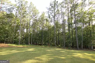 465 Buddy-West Rd, Newnan, GA 30263 - Photo 7
