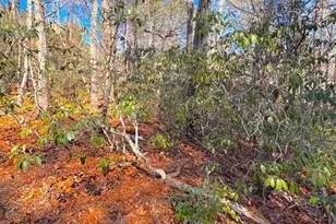 00 Horse Cove Ct, Jasper, GA 30143 - Photo 1