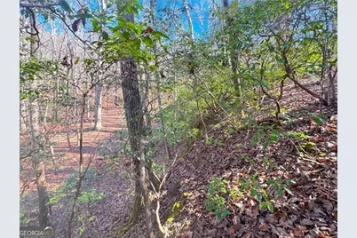 00 Horse Cove Court, Jasper, GA 30143 - Photo 11
