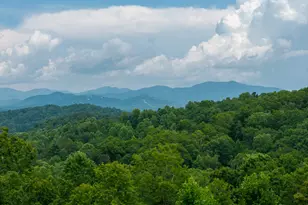 82 Jay Bird Wy, Hayesville, NC 28904 - Photo 55