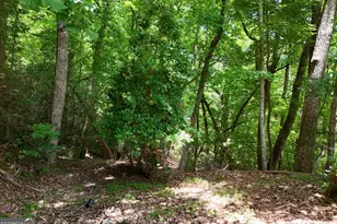 714 Mountain View Rd, Hiawassee, GA 30546 - Photo 71