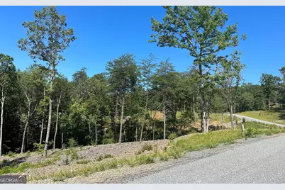 Lt 12 Mountain Laurel Ridge, Mineral Bluff, GA 30559 - Photo 15