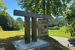 Lt 12 Mountain Laurel Ridge, Mineral Bluff, GA 30559 - Photo 1