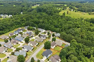 175 Summerbrook Rd, Braselton, GA 30517 - Photo 33