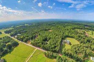 791 Little New York Rd, Whitesburg, GA 30185 - Photo 43