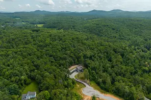 396 Greenfield Rd, Morganton, GA 30560 - Photo 37