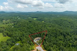 396 Greenfield Rd, Morganton, GA 30560 - Photo 45